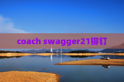 coach swagger21铆钉